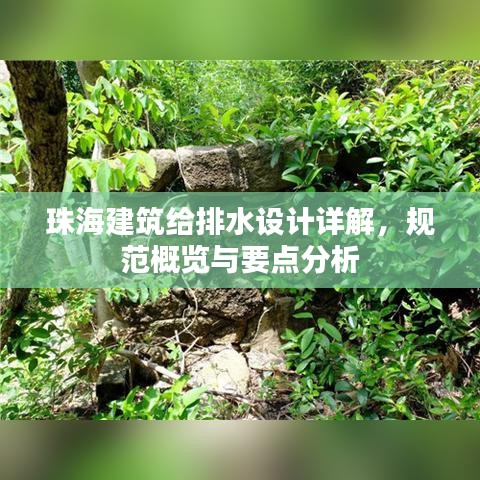珠海建筑給排水設(shè)計詳解，規(guī)范概覽與要點分析