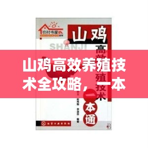 山雞高效養(yǎng)殖技術(shù)全攻略，一本通帶你輕松入門(mén)成專(zhuān)家