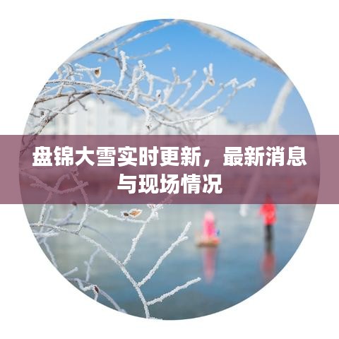 盤錦大雪實(shí)時(shí)更新，最新消息與現(xiàn)場(chǎng)情況