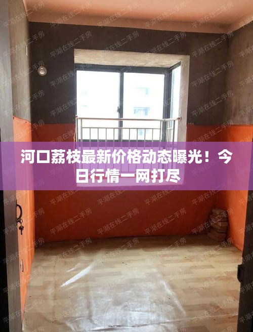 河口荔枝最新價格動態曝光！今日行情一網打盡
