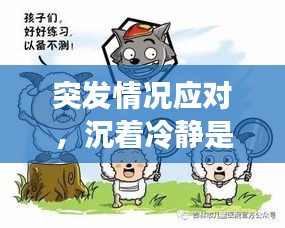 突發(fā)情況應(yīng)對，沉著冷靜是關(guān)鍵