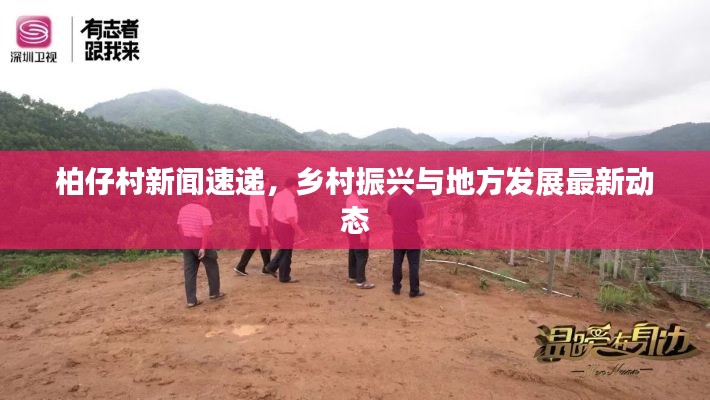 柏仔村新聞速遞，鄉村振興與地方發展最新動態