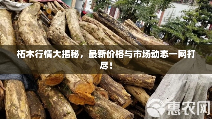 柘木行情大揭秘，最新價(jià)格與市場(chǎng)動(dòng)態(tài)一網(wǎng)打盡！