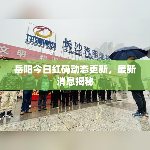 岳陽今日紅碼動態更新，最新消息揭秘
