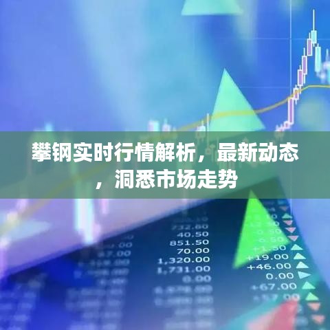 攀鋼實時行情解析，最新動態，洞悉市場走勢