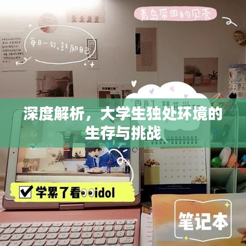 深度解析，大學生獨處環境的生存與挑戰