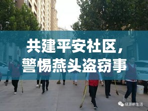 共建平安社區，警惕燕頭盜竊事件，加強防范宣傳，守護家園安全