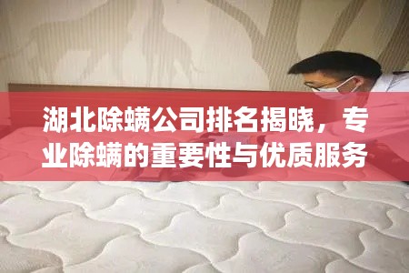 湖北除螨公司排名揭曉，專業除螨的重要性與優質服務商一覽