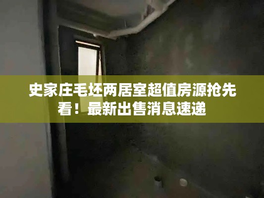 史家莊毛坯兩居室超值房源搶先看！最新出售消息速遞