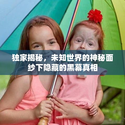 獨(dú)家揭秘，未知世界的神秘面紗下隱藏的黑幕真相