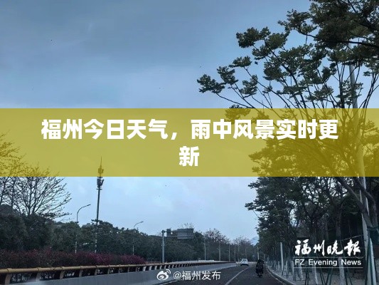 福州今日天氣，雨中風景實時更新