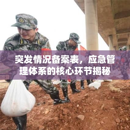 突發情況備案表，應急管理體系的核心環節揭秘