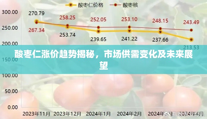 酸棗仁漲價趨勢揭秘，市場供需變化及未來展望