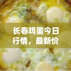 長春雞蛋今日行情，最新價格與市場走勢分析