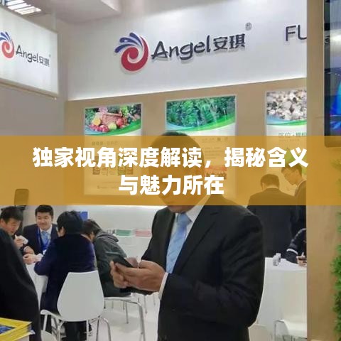 獨家視角深度解讀，揭秘含義與魅力所在