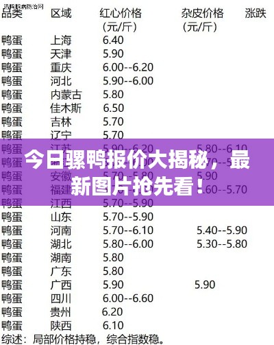 今日騾鴨報價大揭秘，最新圖片搶先看！