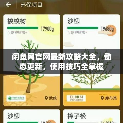 鑿壁偷光