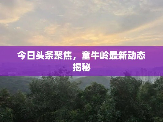 今日頭條聚焦，童牛嶺最新動態揭秘