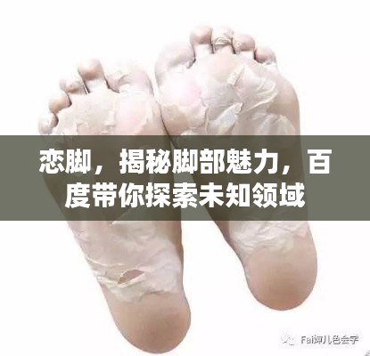 戀腳，揭秘腳部魅力，百度帶你探索未知領域