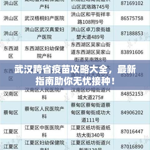 武漢跨省疫苗攻略大全，最新指南助你無憂接種！