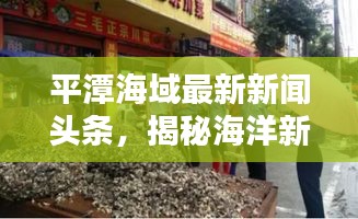 平潭海域最新新聞頭條，揭秘海洋新動態