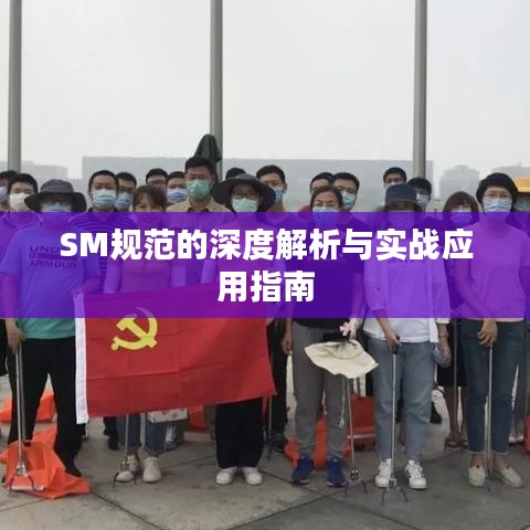 SM規(guī)范的深度解析與實戰(zhàn)應(yīng)用指南