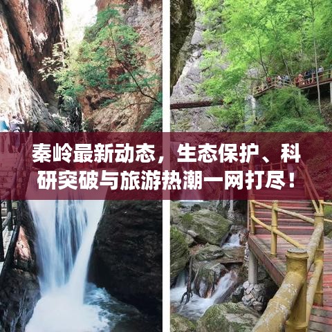 秦嶺最新動態，生態保護、科研突破與旅游熱潮一網打盡！
