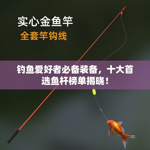 釣魚愛好者必備裝備，十大首選魚桿榜單揭曉！