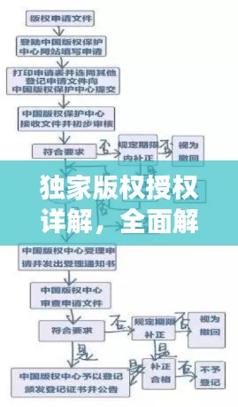 獨家版權(quán)授權(quán)詳解，全面解析+操作指南，快速查詢授權(quán)狀態(tài)！