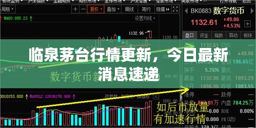 臨泉茅臺行情更新，今日最新消息速遞
