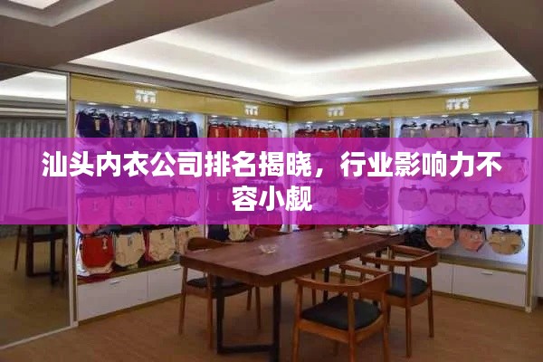 汕頭內衣公司排名揭曉，行業影響力不容小覷