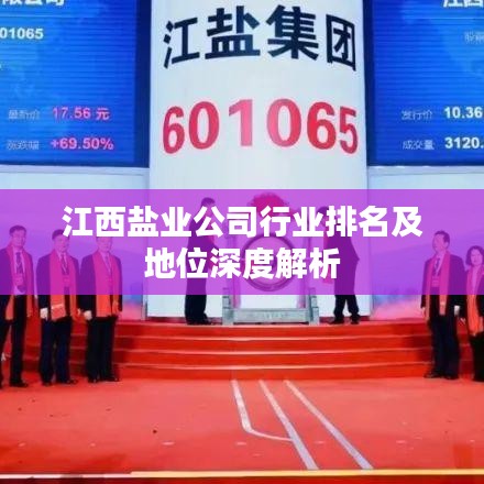 江西鹽業公司行業排名及地位深度解析