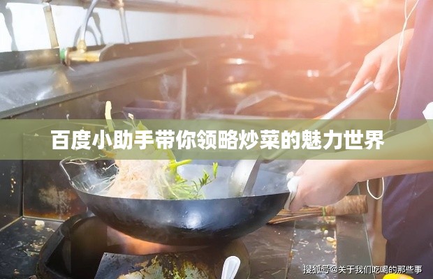 百度小助手帶你領略炒菜的魅力世界