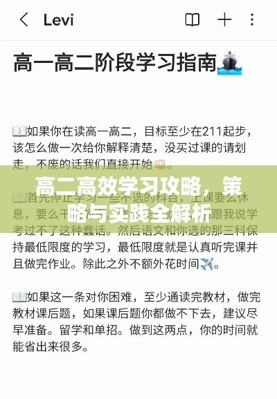 高二高效學(xué)習(xí)攻略，策略與實踐全解析