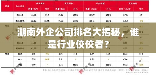 湖南外企公司排名大揭秘，誰(shuí)是行業(yè)佼佼者？