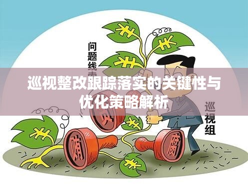 巡視整改跟蹤落實的關鍵性與優化策略解析