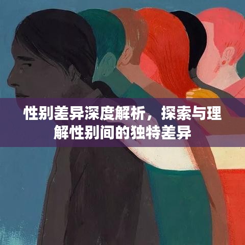 性別差異深度解析，探索與理解性別間的獨特差異