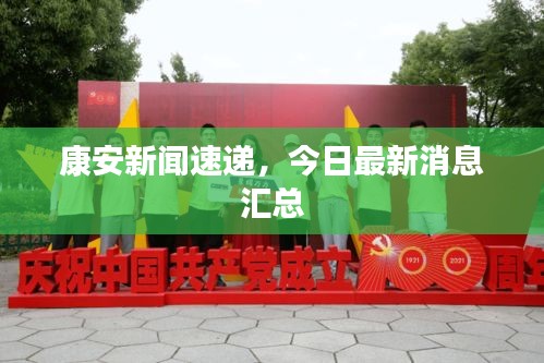康安新聞速遞，今日最新消息匯總