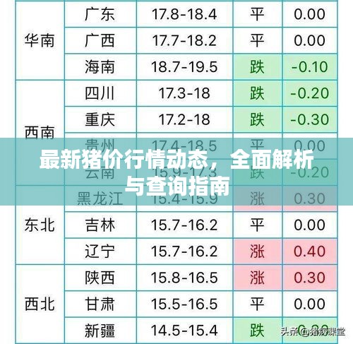 最新豬價(jià)行情動(dòng)態(tài)，全面解析與查詢指南