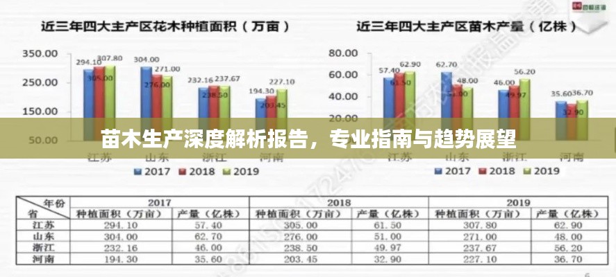 苗木生產(chǎn)深度解析報告，專業(yè)指南與趨勢展望