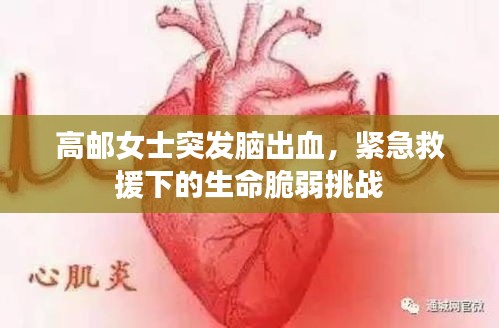 2025年4月13日 第5頁