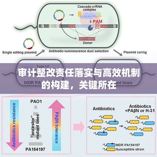 審計整改責任落實與高效機制的構建，關鍵所在