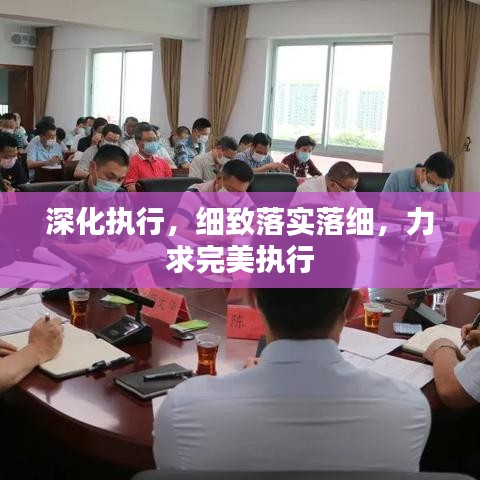 深化執(zhí)行，細(xì)致落實落細(xì)，力求完美執(zhí)行