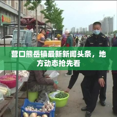 營口熊岳鎮最新新聞頭條，地方動態搶先看