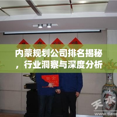 內(nèi)蒙規(guī)劃公司排名揭秘，行業(yè)洞察與深度分析