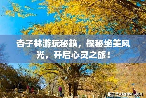 杏子林游玩秘籍，探秘絕美風(fēng)光，開(kāi)啟心靈之旅！