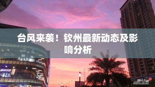 臺風來襲！欽州最新動態及影響分析