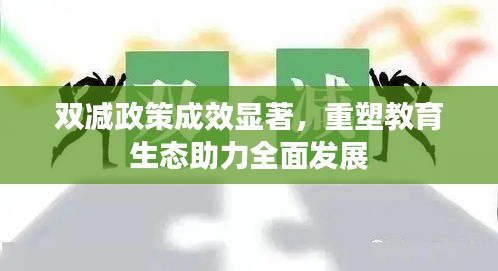 雙減政策成效顯著，重塑教育生態助力全面發展
