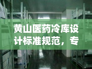 黃山醫藥冷庫設計標準規范，專業指南揭秘冷庫建設秘籍