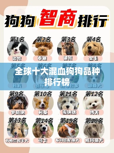 全球十大混血狗狗品種排行榜